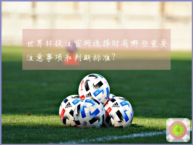 世界杯投注官网选择时有哪些重要注意事项和判断标准？