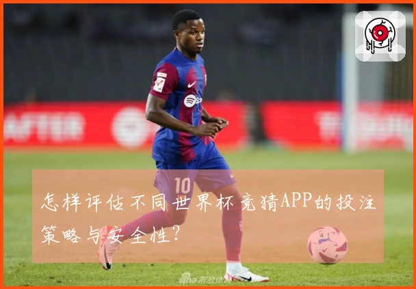 怎样评估不同世界杯竞猜APP的投注策略与安全性？