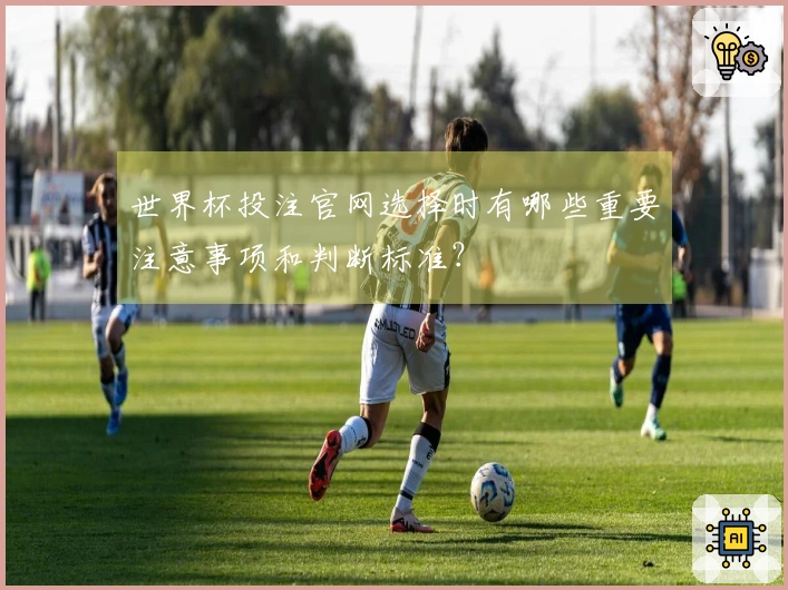 世界杯投注官网选择时有哪些重要注意事项和判断标准？