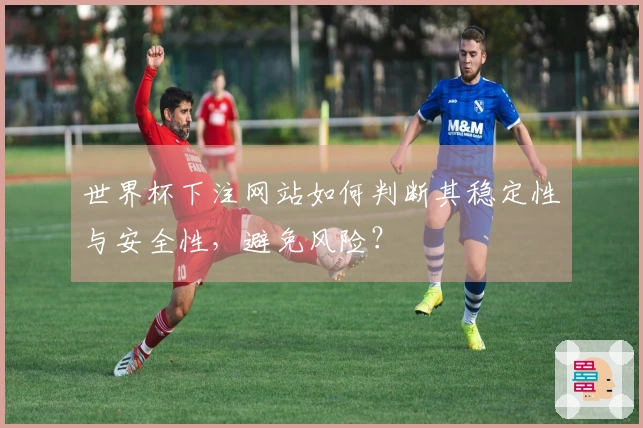 世界杯下注网站如何判断其稳定性与安全性，避免风险？